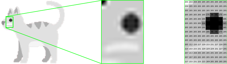 Imagen con región de interés y niveles de intensidad