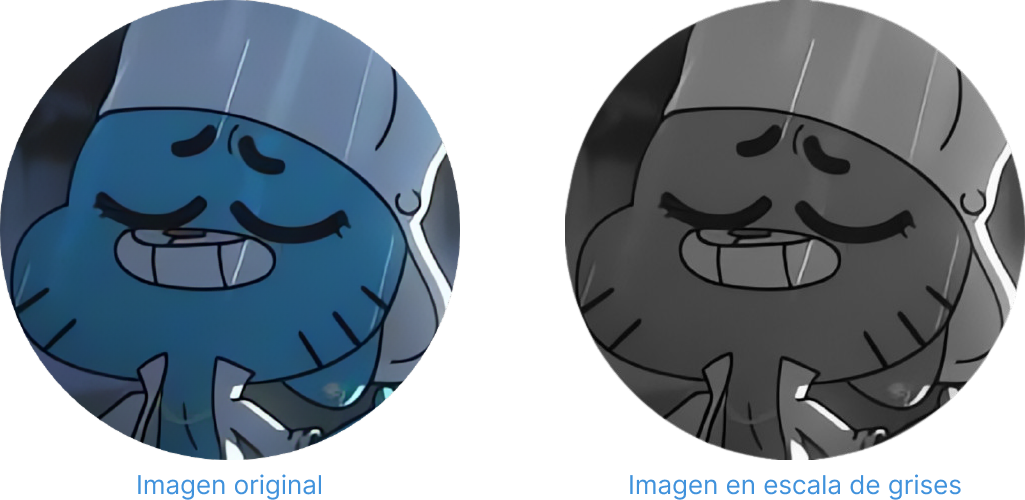 Imagen en escala de grises