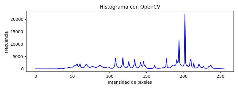 Imagen en plano cartesiano con ROI